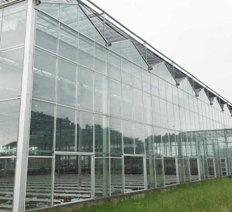 Теплицы по технологии VENLO
